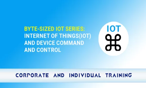 Byte-Sized IoT Series: Internet of Things (IoT) and Device Command and Control