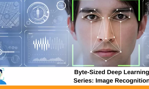 Byte-Sized Deep Learning Series: Image Recognition
