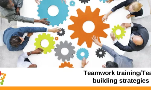 Teamwork training/Team building strategies
