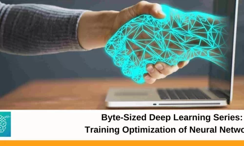Byte-Sized Deep Learning Series: Training Optimization of Neural Networks